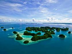 SAVE 50% Off Palau Luxury Liveaboards