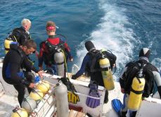 Safaga Dive Centre - boat diving