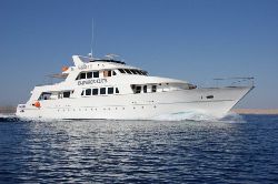 Red Sea Liveaboard Videos from Emperor